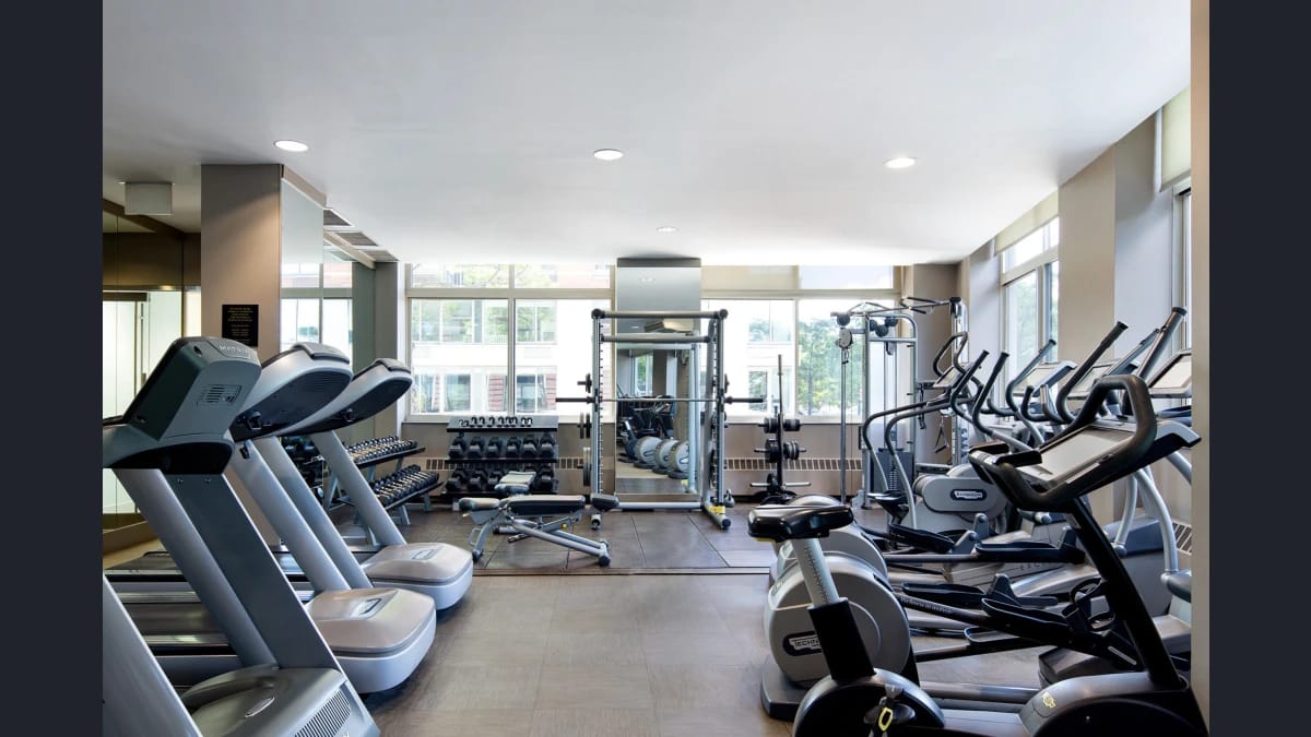 Tribeca Park Apartments
