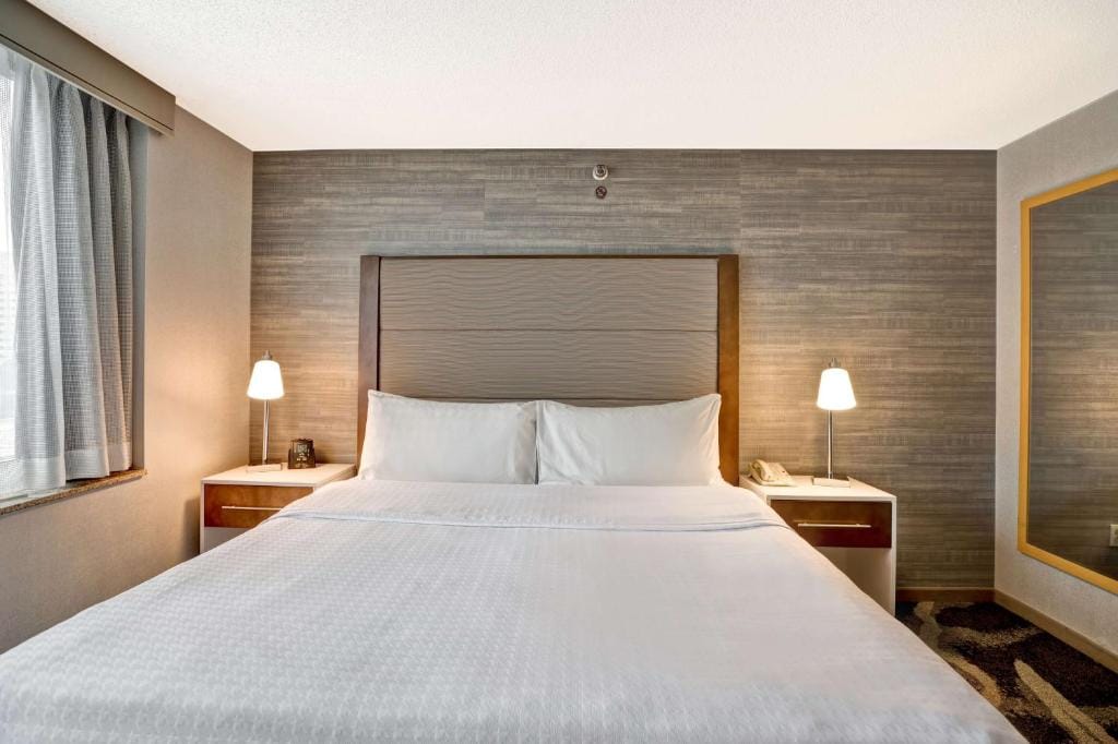 King Studio Suite - image 2