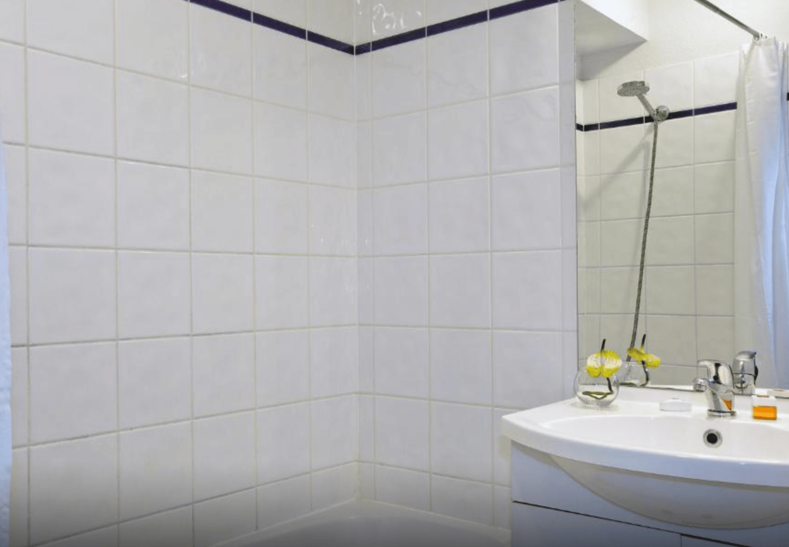 One Bedroom Apartment - image 3