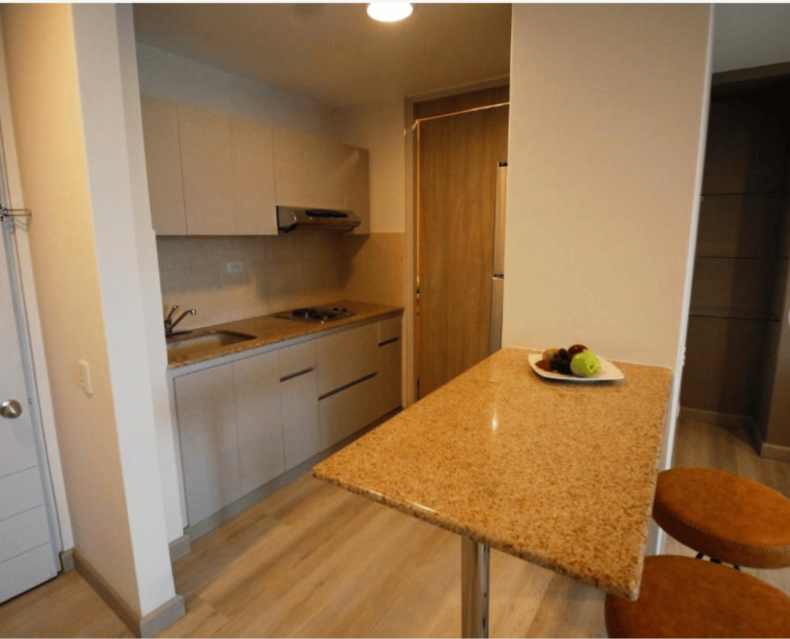 One Bedroom Apartment - image 4