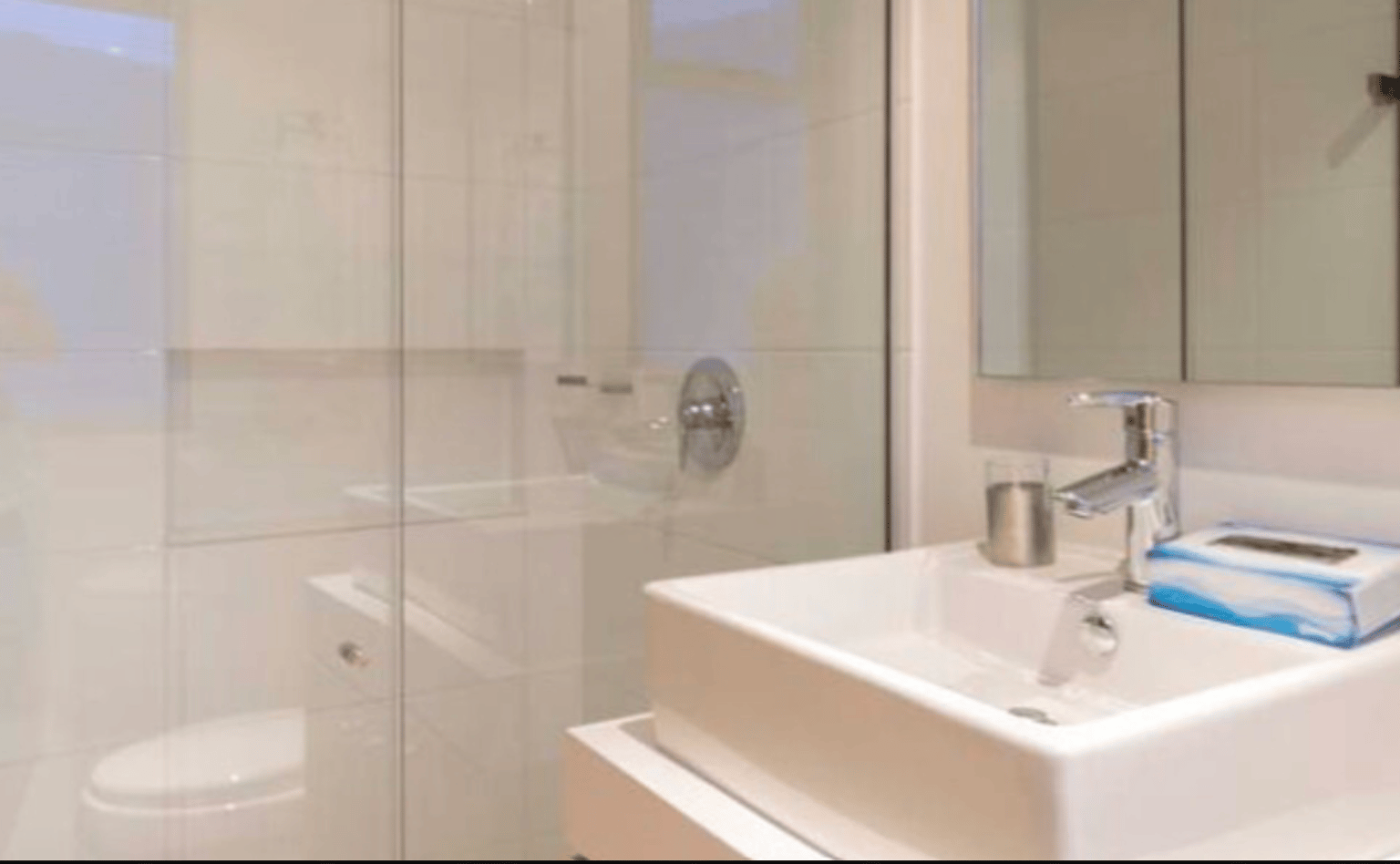 Three Bedroom Apartment - photo 3