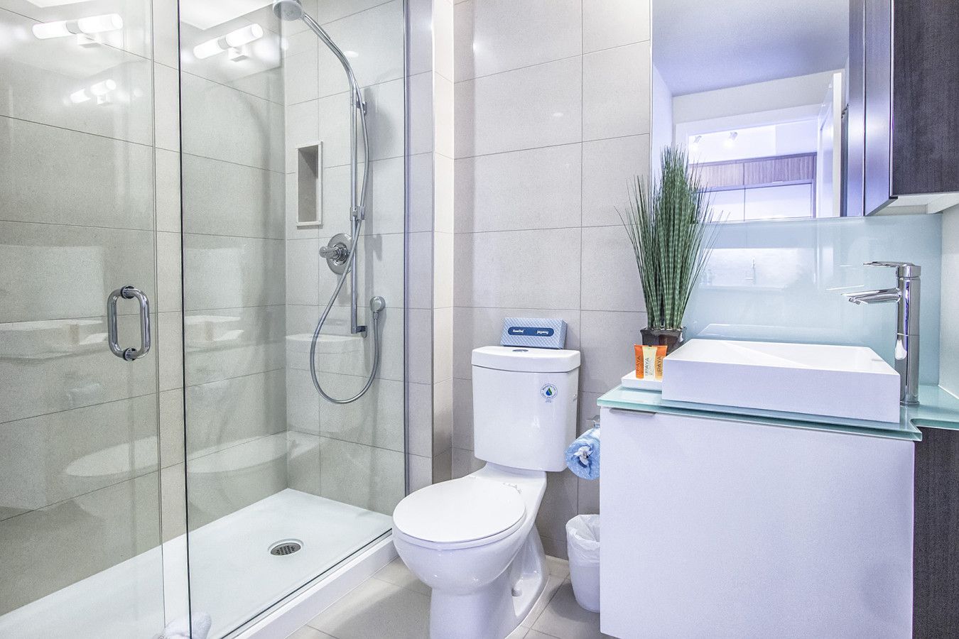 One Bedroom Apartment - image 5