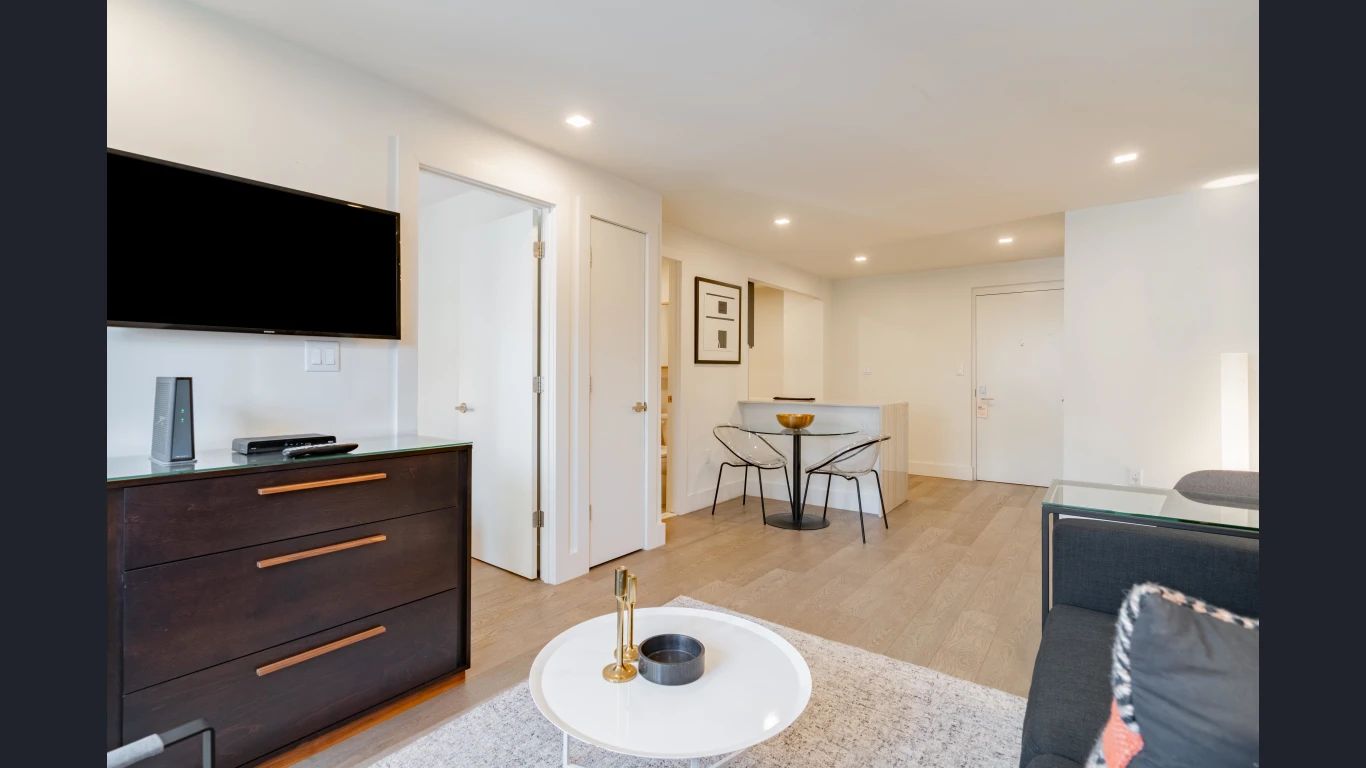 One Bedroom Apartment - image 3