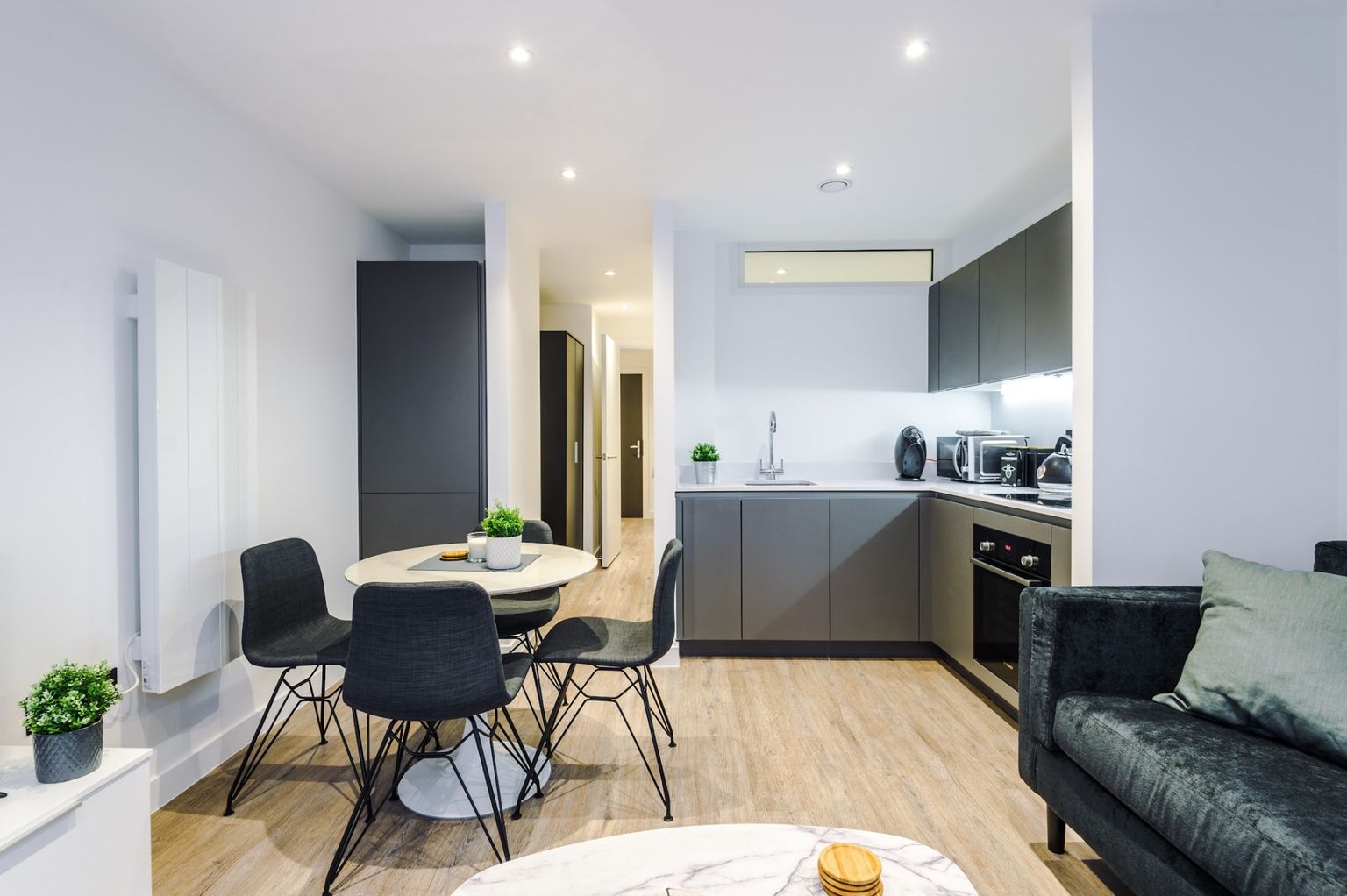 One Bedroom Apartment - image 3