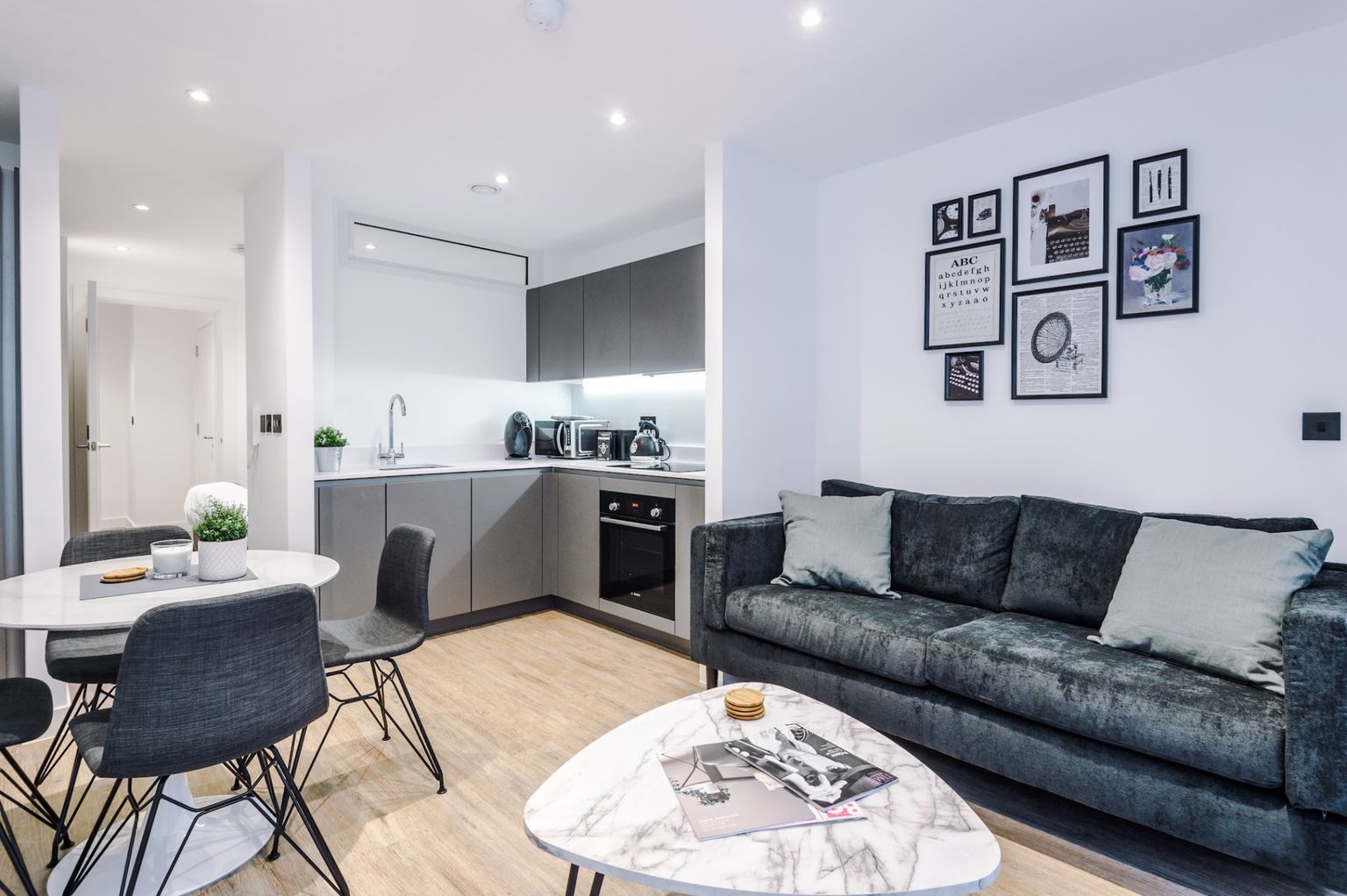 One Bedroom Apartment - image 4