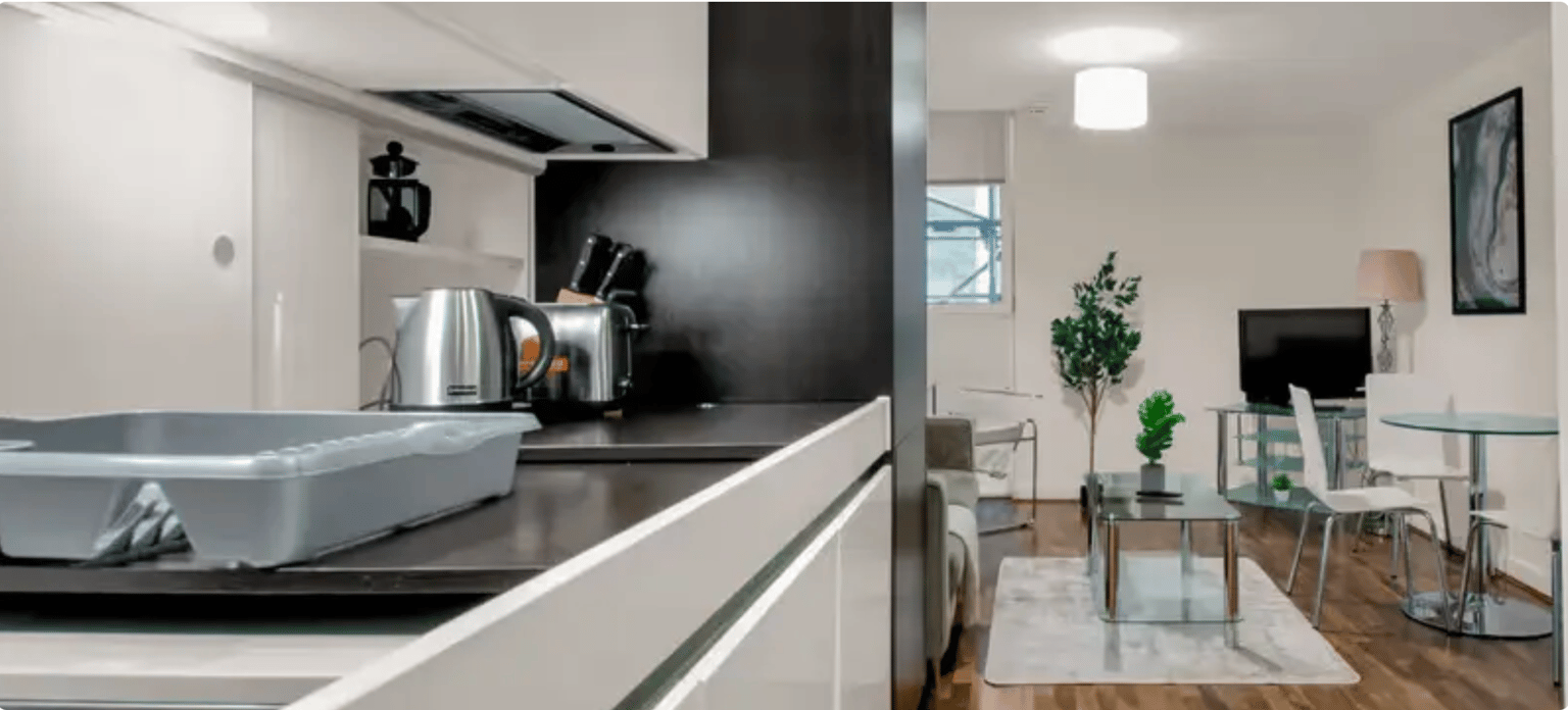 One Bedroom Apartment - image 4