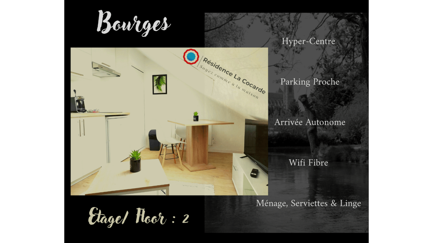 Standard 1 Bedroom - image 3