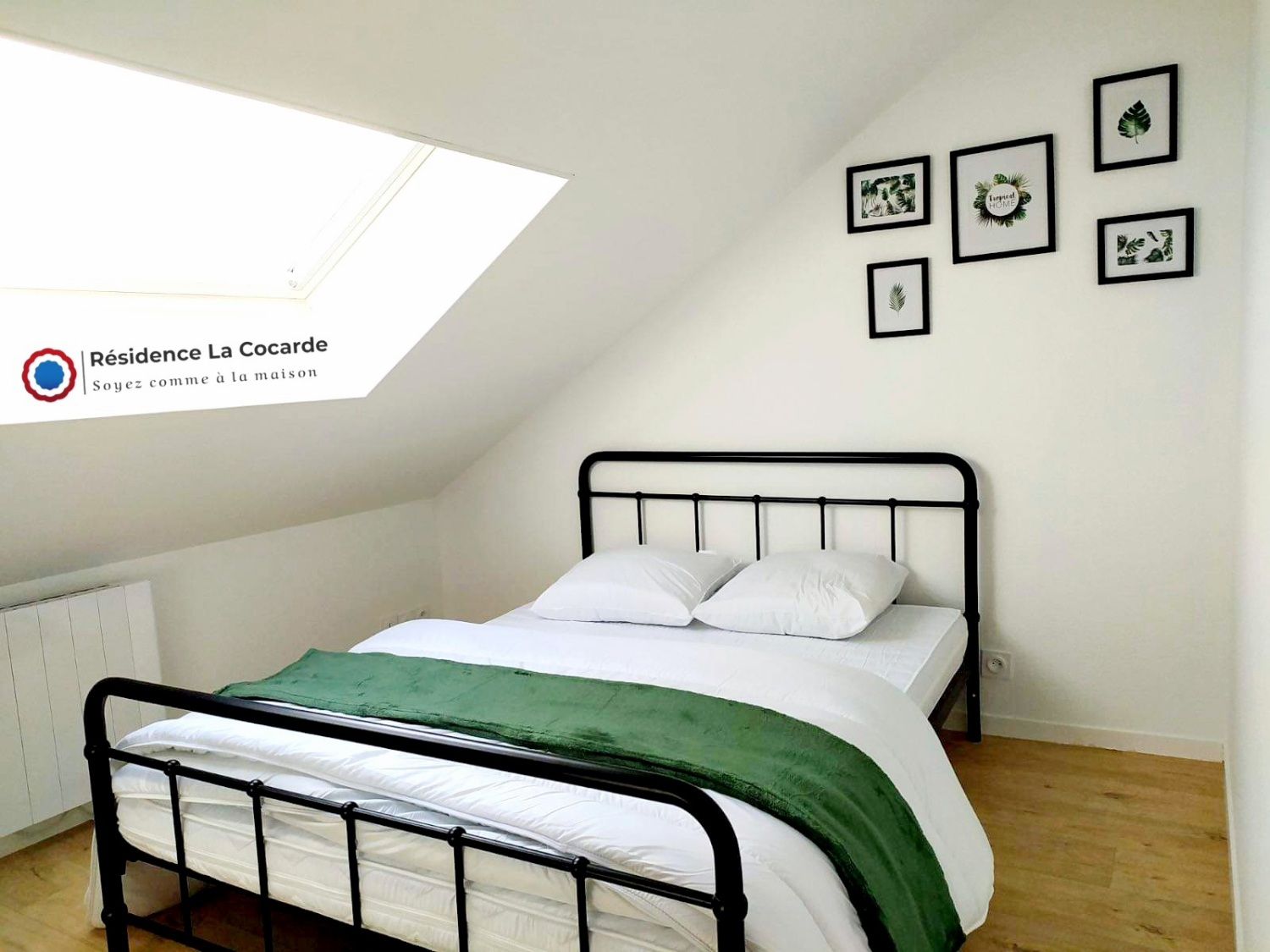 Standard 1 Bedroom - image 5