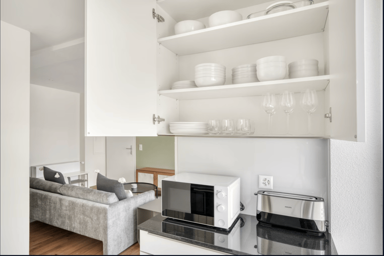 Schrennengasse 1 Bedroom Apartment detail view 4