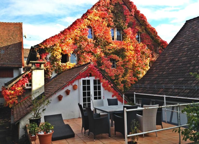 Les Mignardises Guest House - image 1
