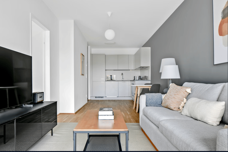 Grasbergergasse Bedroom Apartment detail view 3