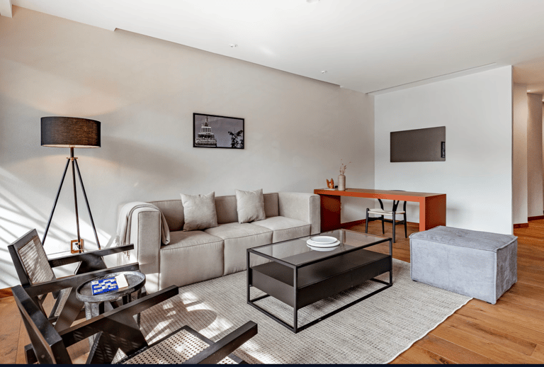 Polanco, Aristoteles Apartment detail view 2