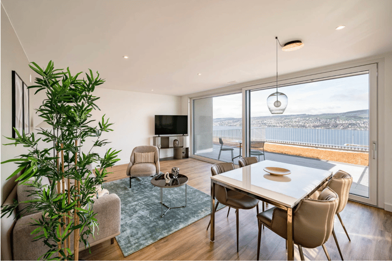 Horgen Apartment - image 1