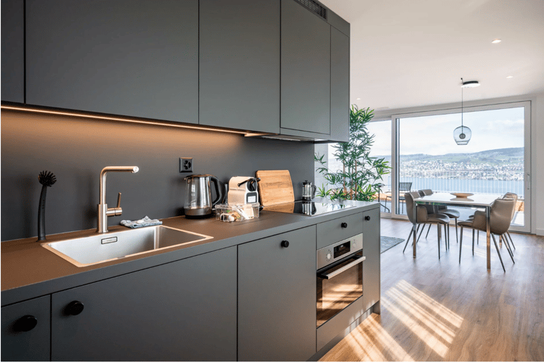 Horgen Apartment detail view 2