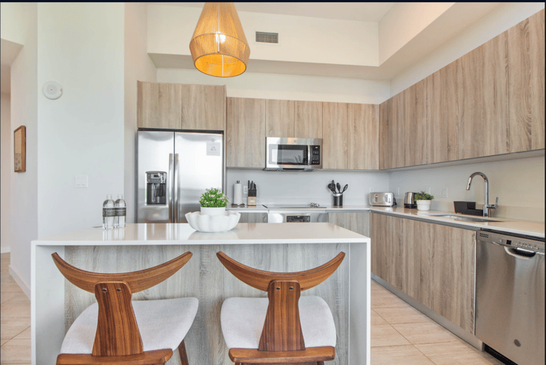 Biscayne Boulevard Apartment detail view 2
