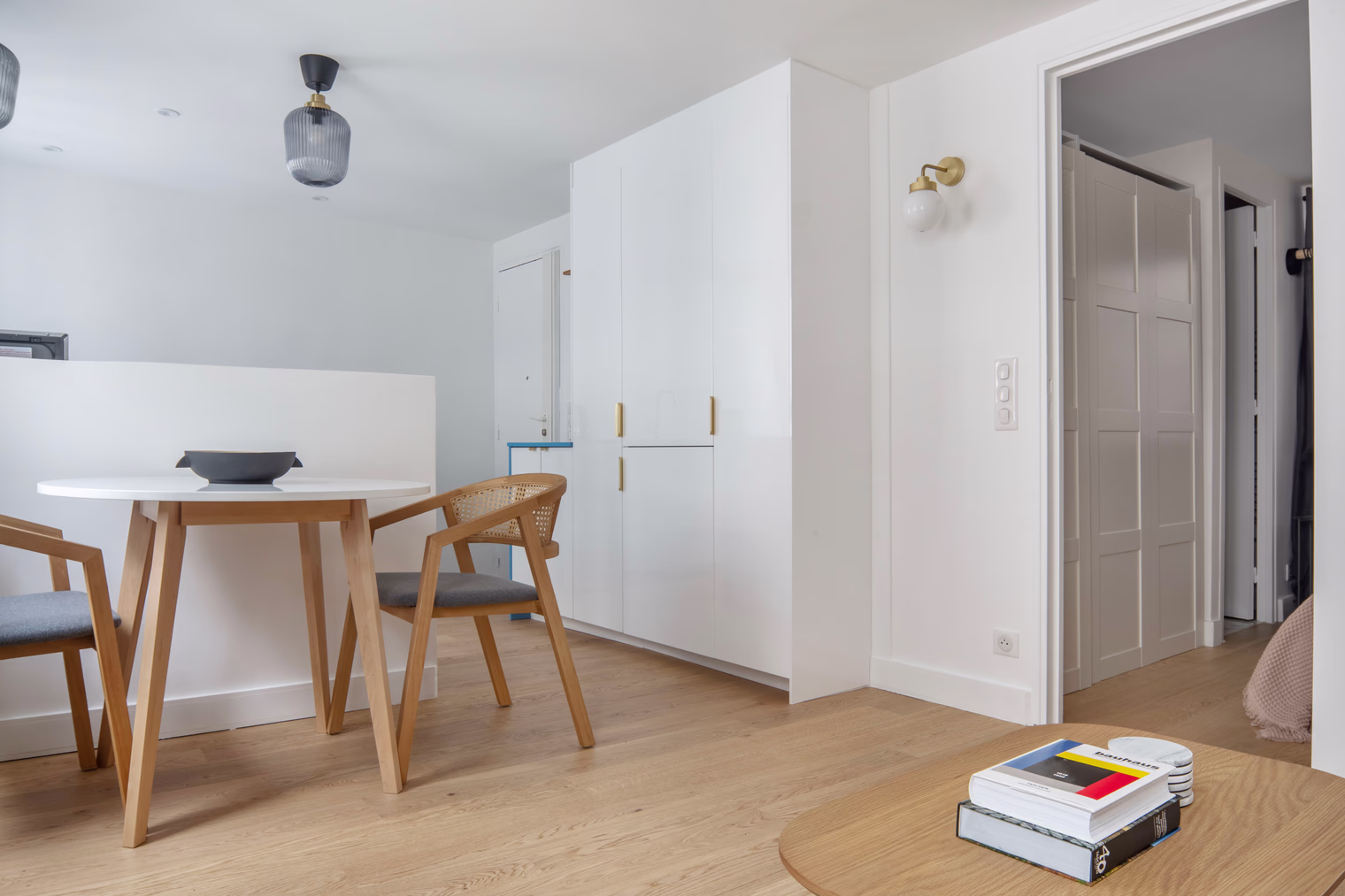 Rue Lekain Apartment detail view 3