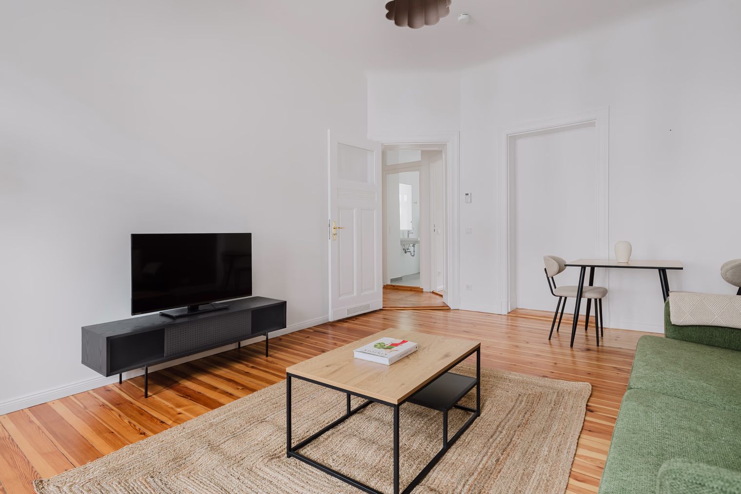 One Bedroom Apartment - image 4