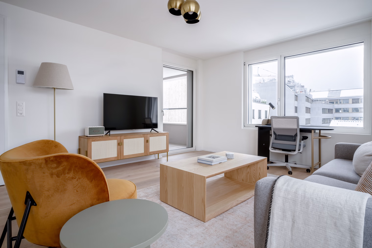 One Bedroom Apartment - image 4