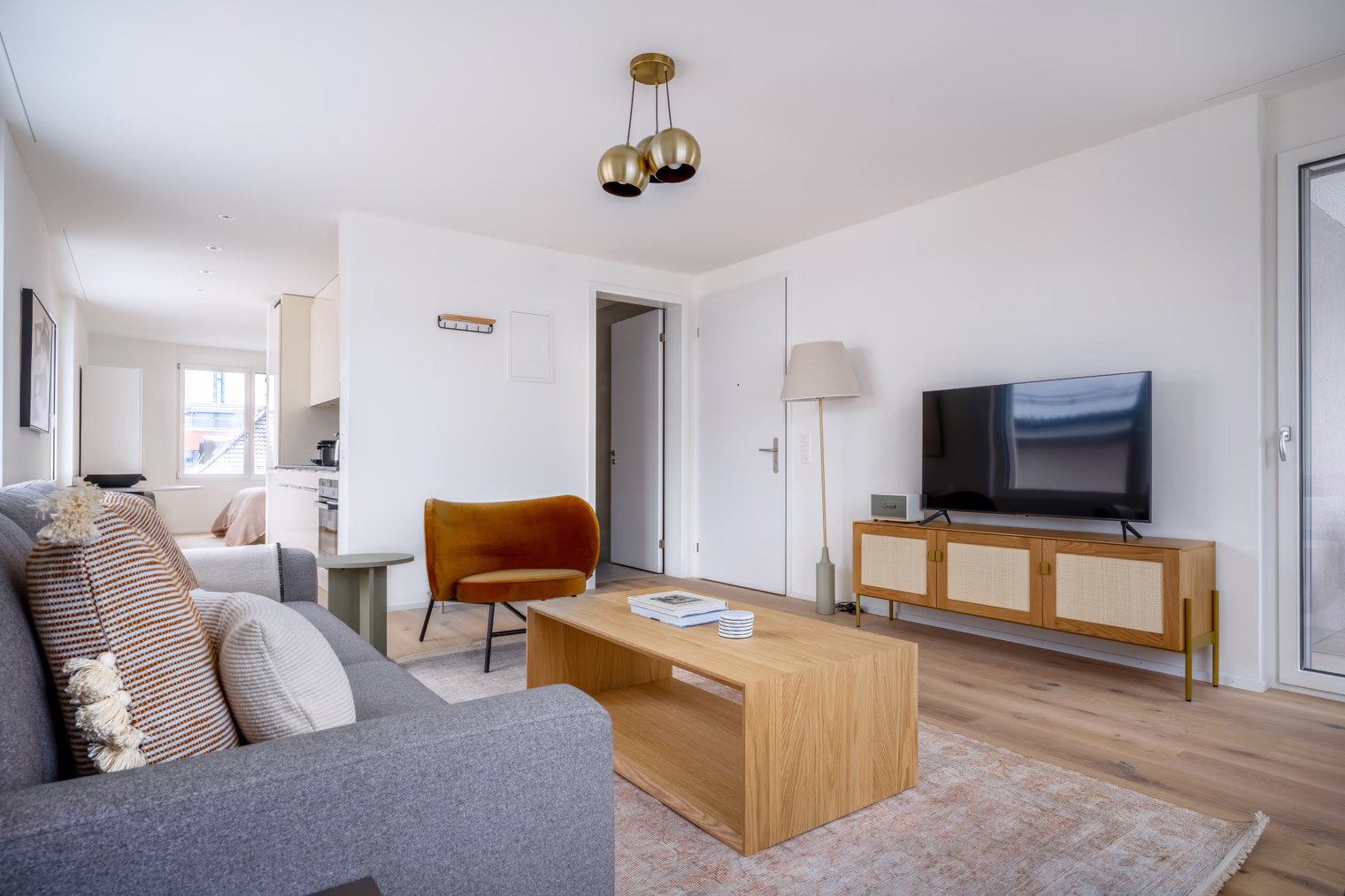 One Bedroom Apartment - image 5